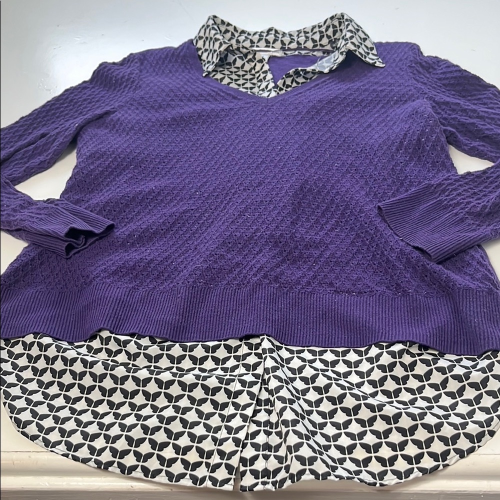 Purple V-Neck Layered Sweater Top - Women